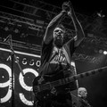 GutterPunk - Professional Concert Photography